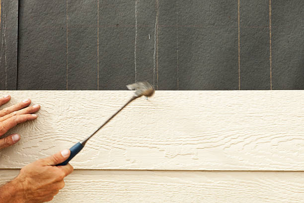 Affordable Siding Repair and Maintenance Services in #City